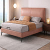 ARVENA Contemporary Fabric Bed Frame