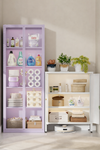 LORIN Contemporary Metal Storage Cabinet