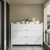 ORLENA Contemporary Metal Storage Cabinet