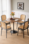 PAVEN Contemporary Acrylic Dining Chair