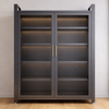 AVORIN Contemporary Metal Storage Cabinet