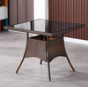 SAVORA Contemporary Rattan Coffee Table