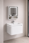 LUNARO Contemporary Metal Bathroom Vanity