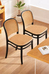 PAVEN Contemporary Acrylic Dining Chair