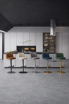 ZAVION Contemporary Metal Bar Stool