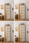 ARVION Contemporary Wooden Shoe Cabinet