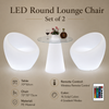 NORVEX Scandinavian Wooden Dining Chair