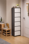 ARVION Contemporary Wooden Shoe Cabinet