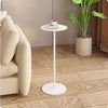 NOVIRA Contemporary Metal Side Table