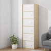 ARVION Contemporary Wooden Shoe Cabinet
